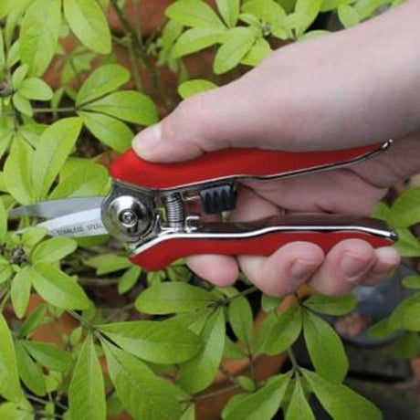 mini handheld garden snips