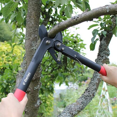 dalac ratchet in use cutting a tree