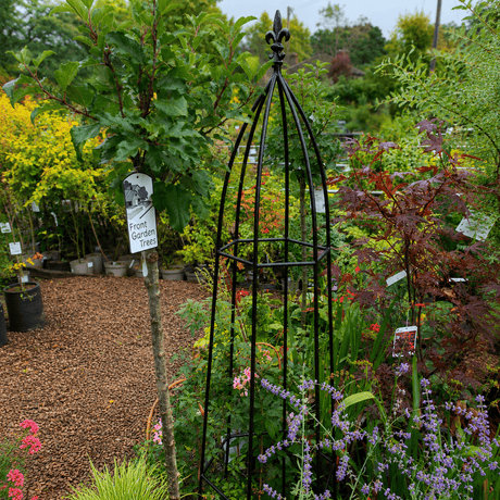Decorative metal garden obelisk in a garden setting with plants and flowers.