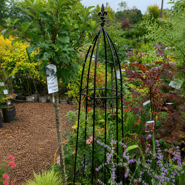 Decorative metal garden obelisk in a garden setting with plants and flowers.