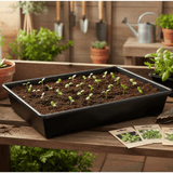 Seedlings in a black tray on a wooden table with gardening tools and plants in the background.