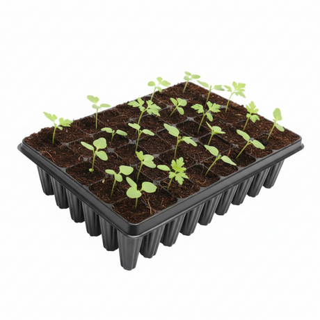 Deep root trainer 45 cells with seedlings in