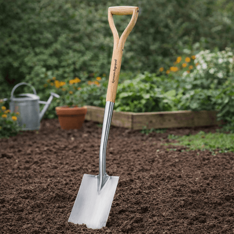 Garden digging spade with wooden handle and stainless steel blade standing in soil, used for digging and preparing garden beds