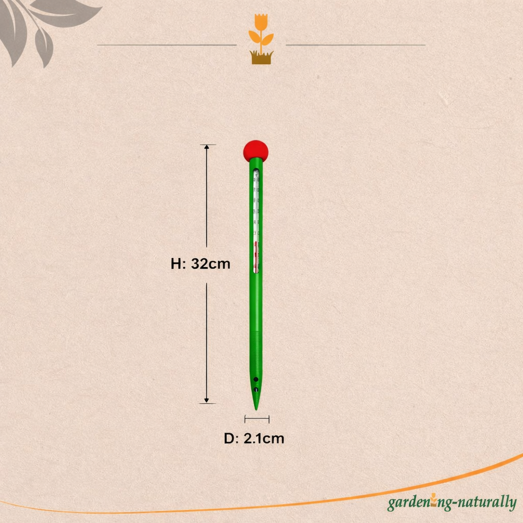 Green thermometer with red top and measurements on a beige background