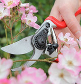 darlac bypress pruners cutting plant