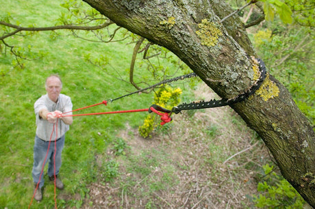 darlac pcket chain saw being used on tree