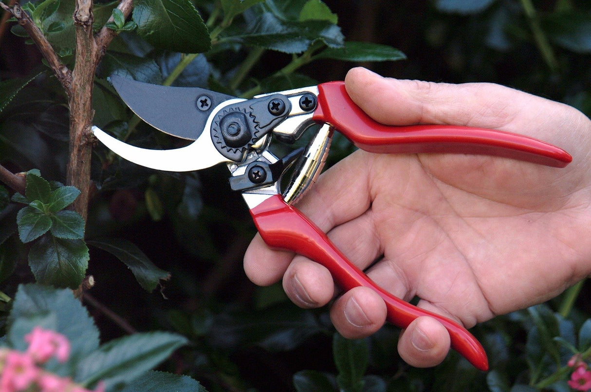 Professional Pruner Strong and Light Darlac DP30