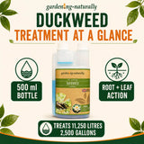 Duckweed Treatment for Garden Ponds 500ml