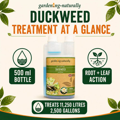 Garden-ng-naturally Duckweed Treatment bottle centered on a cream background with decorative green leaves and text callouts reading 500 ml bottle, root + leaf action, and treats 11,250 litres / 2,500 gallons.