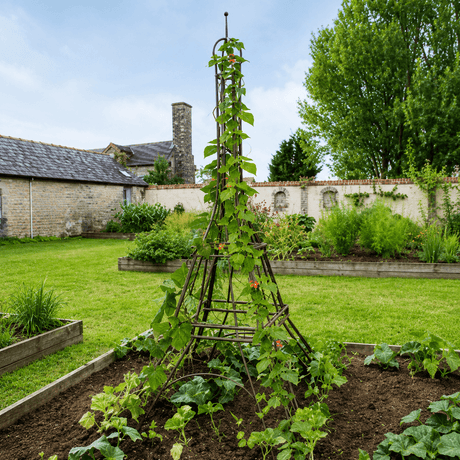 Vegetable garden with a Eiffel tower trellis structure and plants in a backyard setting.
