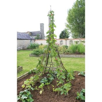 eiffel tower plant trellis Eiffel Tower Decorative Plant Frame – Gardening Naturally