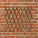 expanding garden trellis on red brick wall
