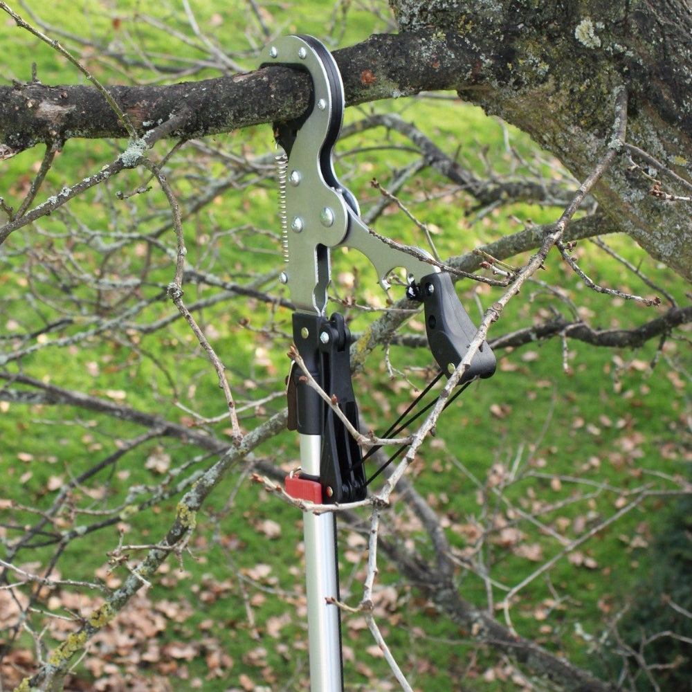 expert geared anvil tree pruner