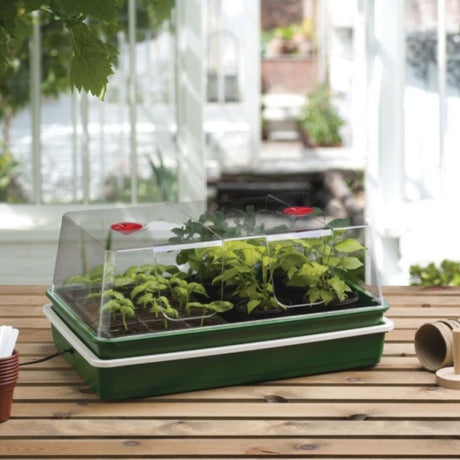 electric propagator extra large