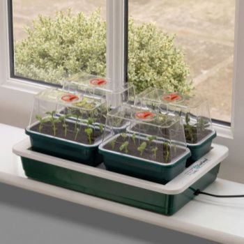 Windowsill Propagator Fab 4 Electric