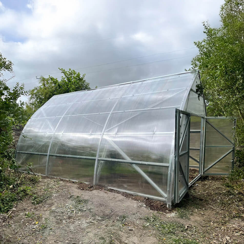 Greenhouse by trees