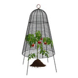 farmhouse cloche with plant 