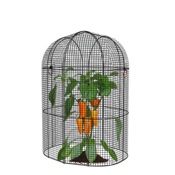 Black wire birdcage with plants and carrots inside on a white background
