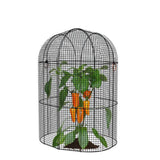 Black wire birdcage with plants and carrots inside on a white background