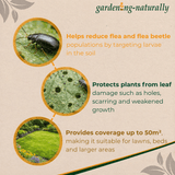 Gardening product description with images of a flea beetle, soil with larvae, and a lawn, on a beige background.