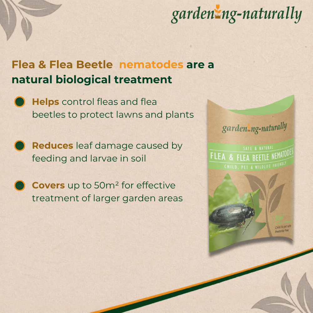 Gardening Naturally flea and flea beetle nematodes packaging with product description on a beige background