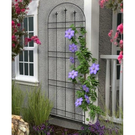fleur de lys garden trellis by wall