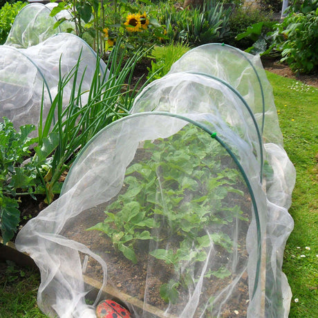 Vegetable garden with plants covered by white mesh in a garden setting.