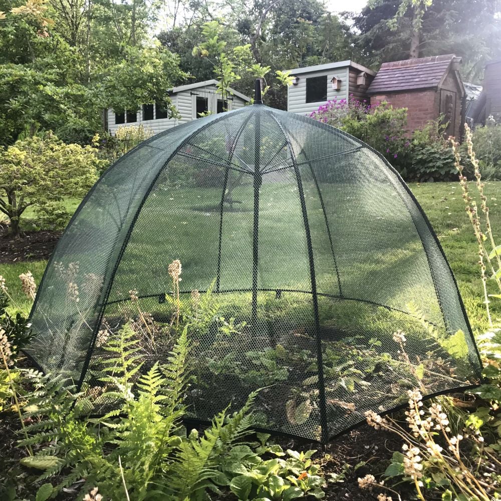 Umbrella garden cage with netting in garden