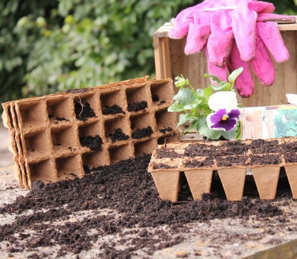 Wood Fibre Seed Trays 4 x 5cm 36 cells Pack of 100