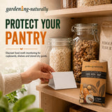 A hand places a white card into a garden-ing-naturally food moth trap on a wooden pantry shelf next to jars of oats and nuts, with text reading 'PROTECT YOUR PANTRY'.