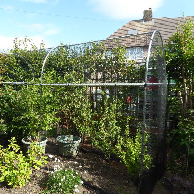 Domed Aluminium Fruit or Vegetable Walk In Cage DVC