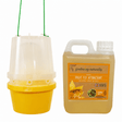 fruit fly trap with 1 litre bottle attractant