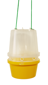 Fruit Fly Trap for Attractant