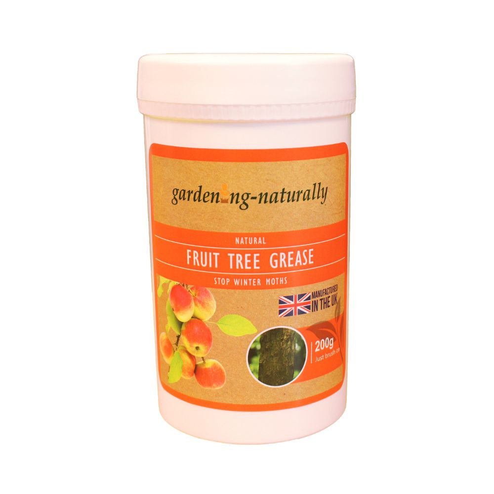 fruit tree grease stop winter moths