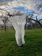A fruit tree netting bag made of fine mesh material, covering a tree with apples, providing protection against pests and birds.