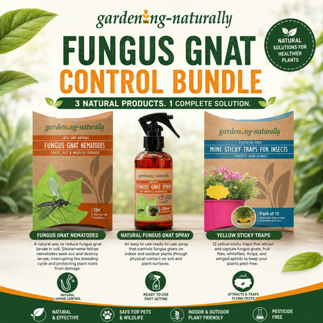 Gardening Naturally Fungus Gnat Control Bundle with products and packaging on a blurred natural background.