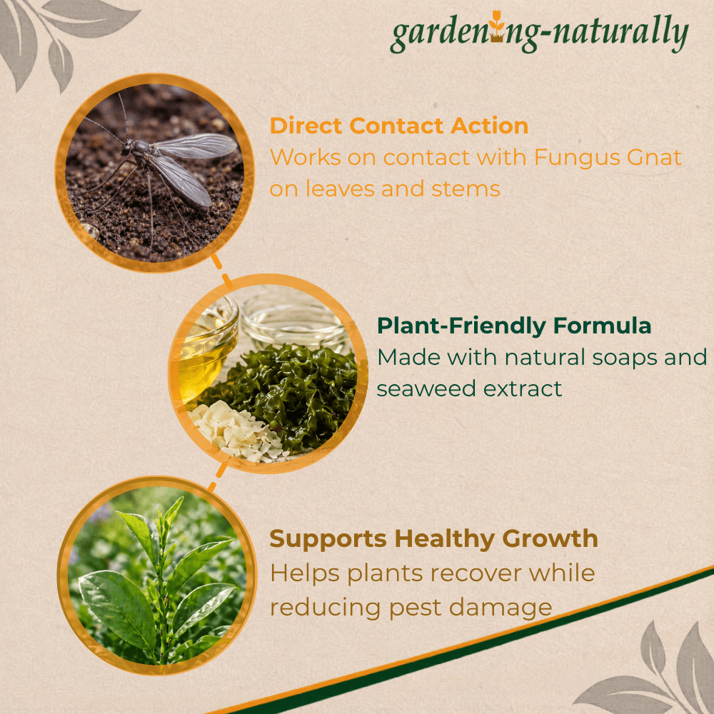 Gardening Naturally product description with images of a pest, plant, and text about direct contact action, plant-friendly formula, and healthy growth.