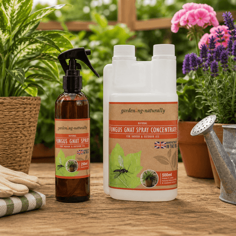 Garden care products including a spray bottle and concentrate bottle on a wooden surface with plants in the background.