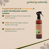 Fungus Gnat Spray & Concentrate bottle with product details on a beige background