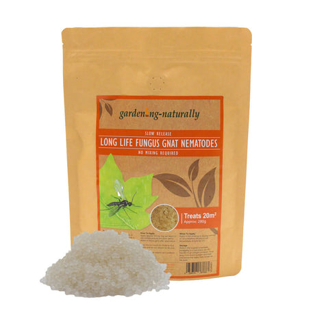 Package of 'gardening naturally' long life fungus gnat nematodes on a white background