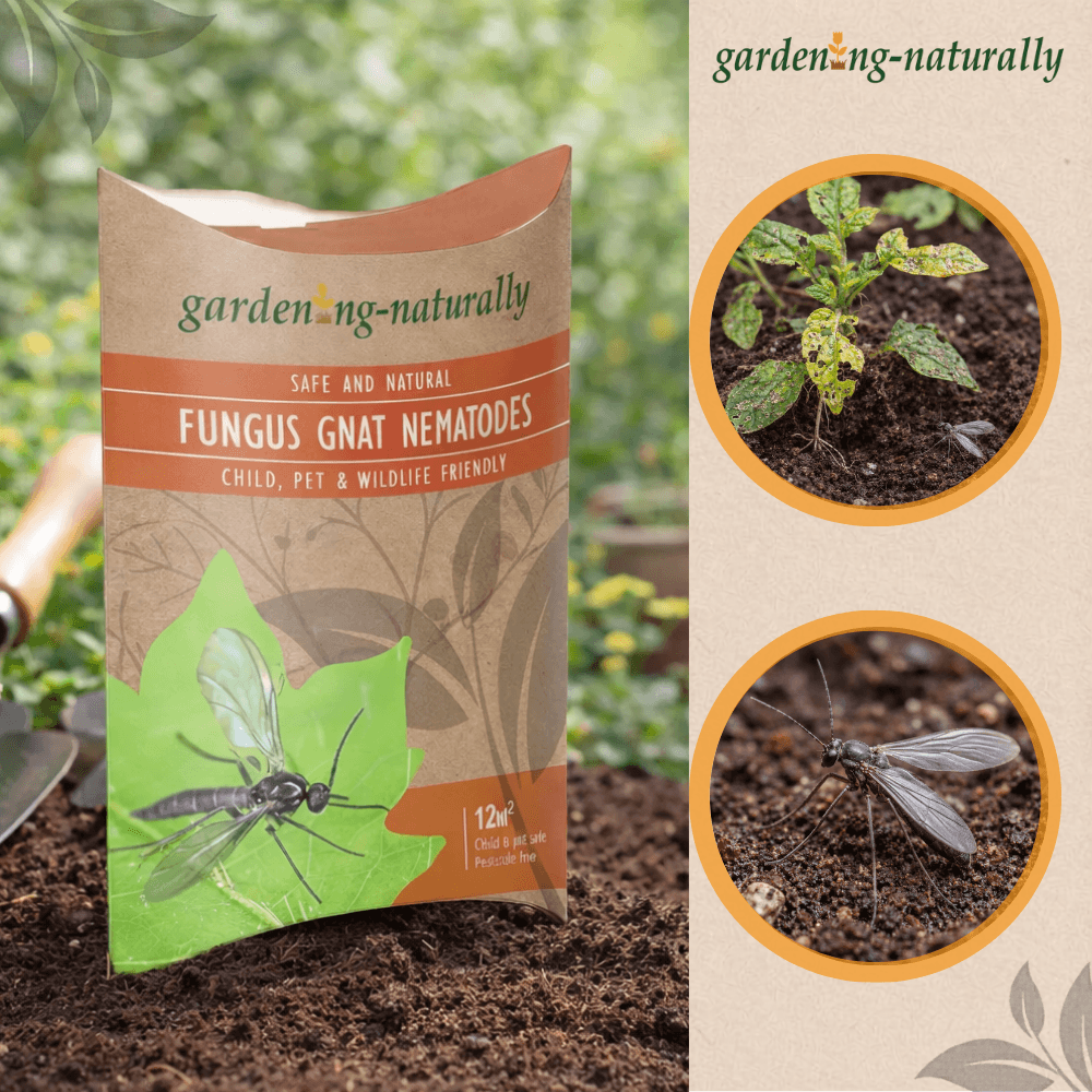 Package of Fungus Gnat Nematodes with images of nematodes and plants on a natural background.