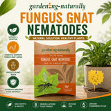 Gardening-Naturally Fungus Gnat Nematodes packaging with plant and outdoor background