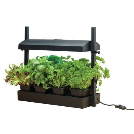 Micro Grow Light Garden for Salads and Herbs