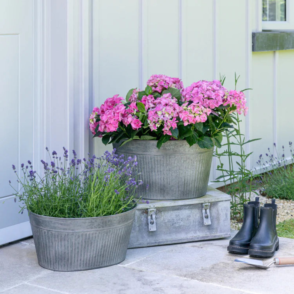 large galvanised plant pots Galvanised Metal Oval Planter Indoor & Outdoor – Gardening Naturally