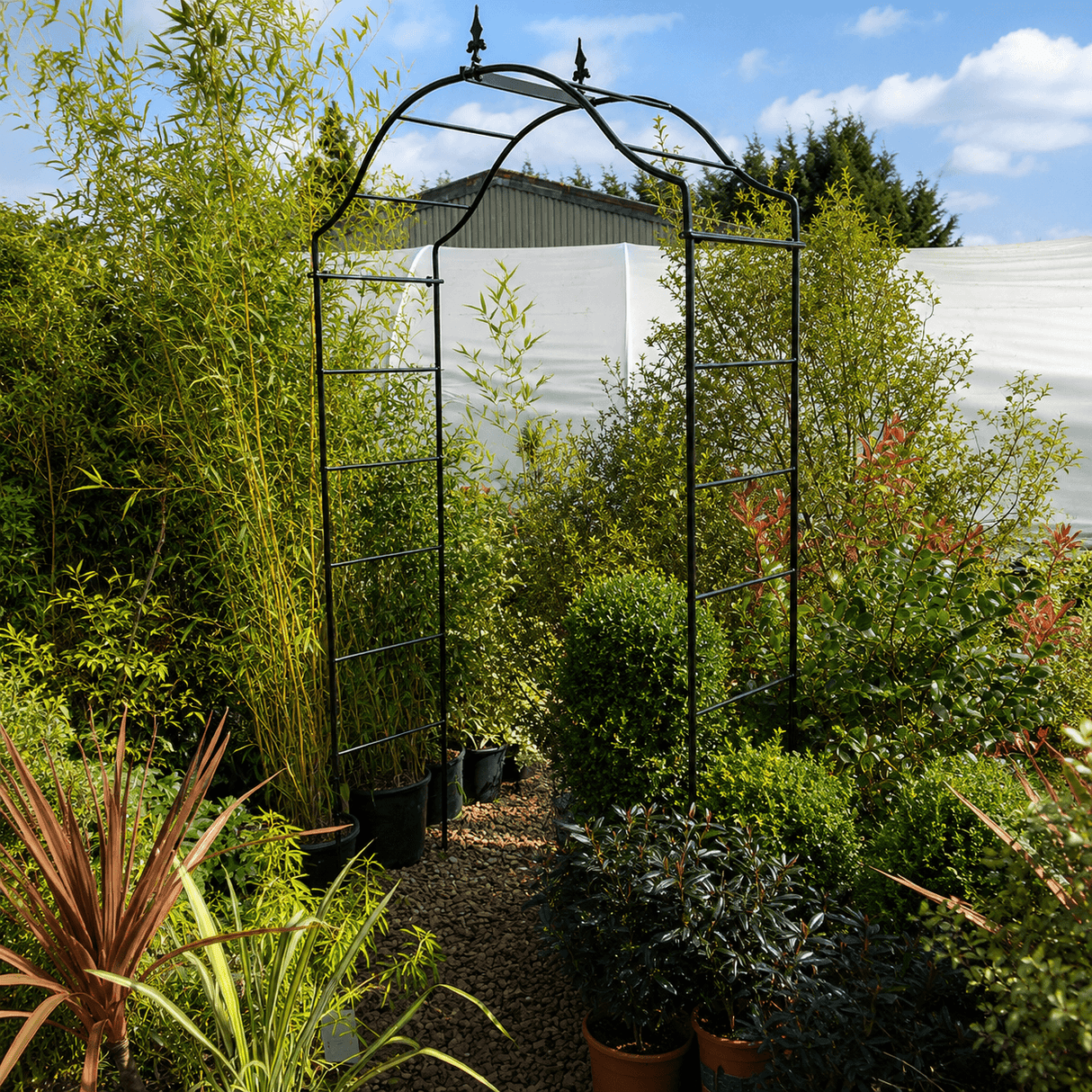 Metal garden archway in a garden setting with plants and a greenhouse in the background.