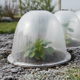 garden cloches in frosted weather with plants protected
