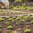 Person gardening with a cultivator in a vegetable patch