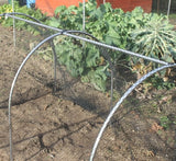 Cloche support bars on a garden cage/hoops