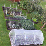 Vegetable garden with raised beds