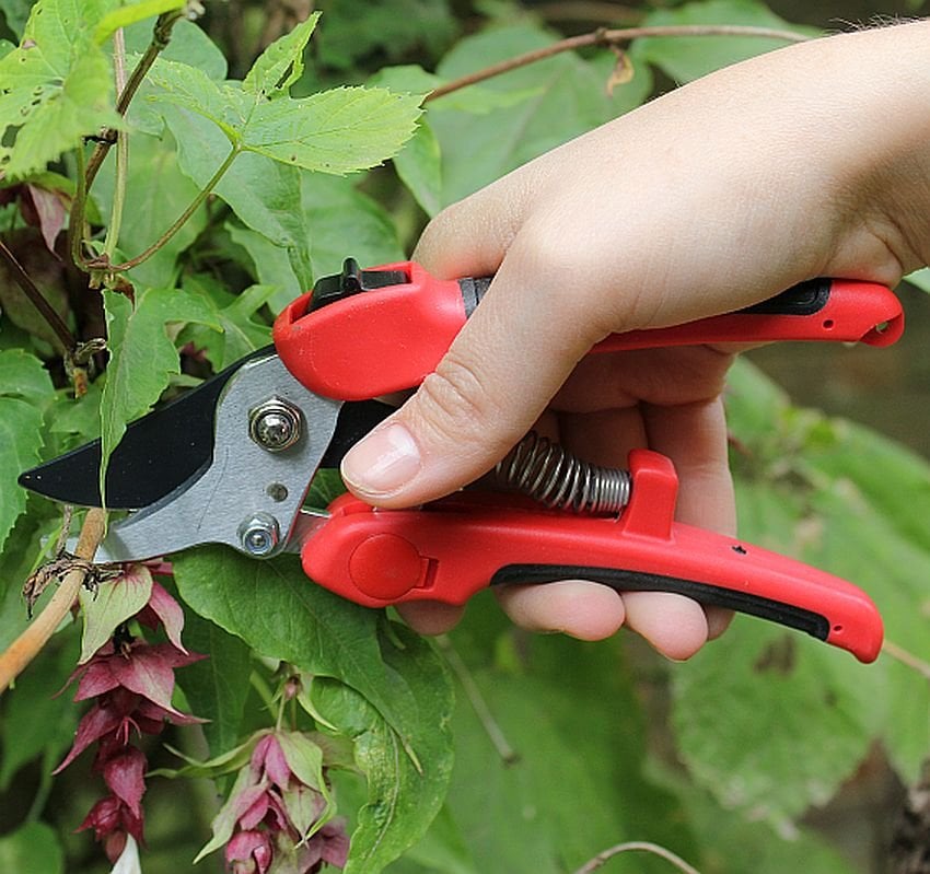 hand held garden pruners